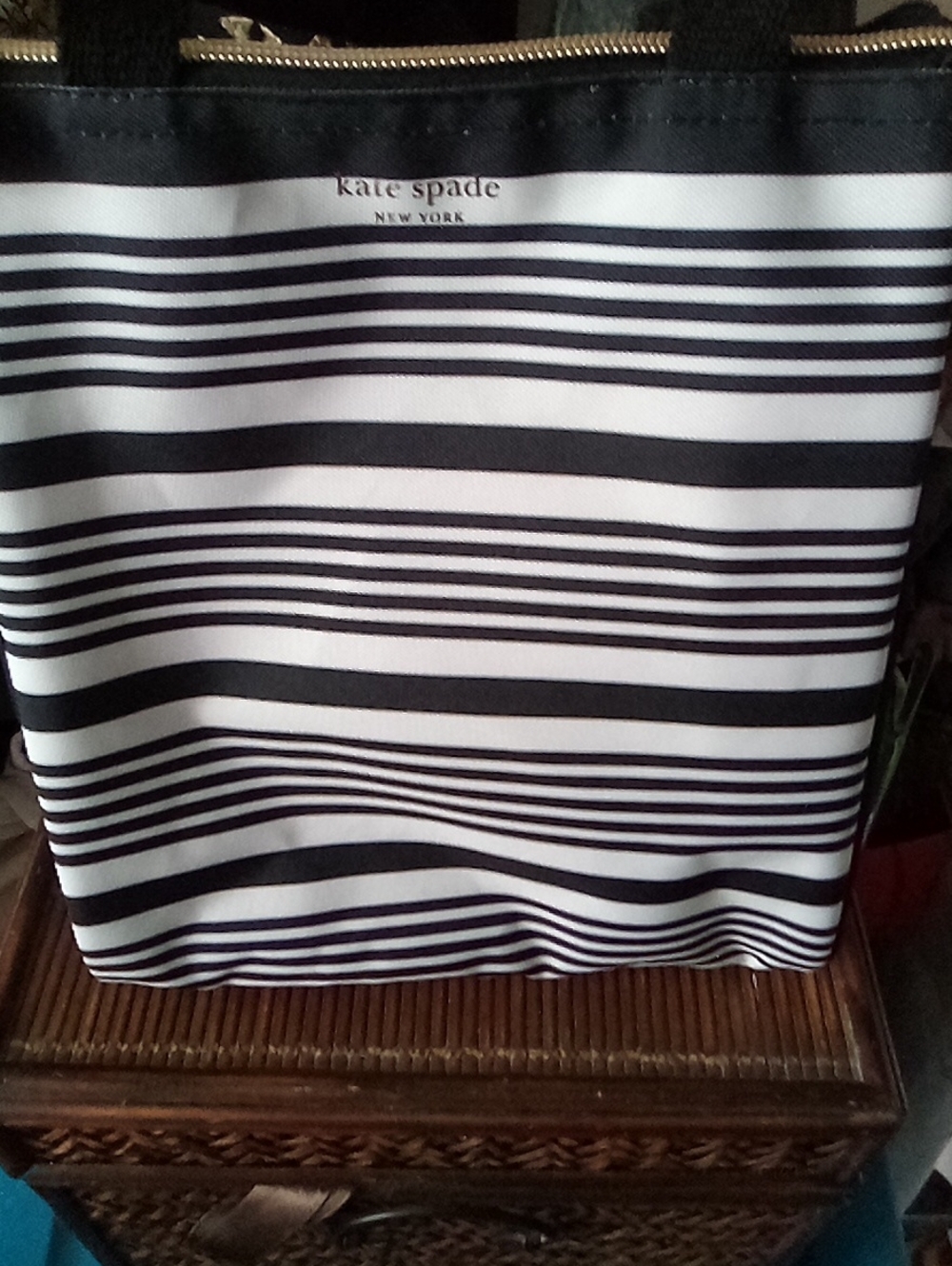 Kate Spade Isolated Lunch Bag